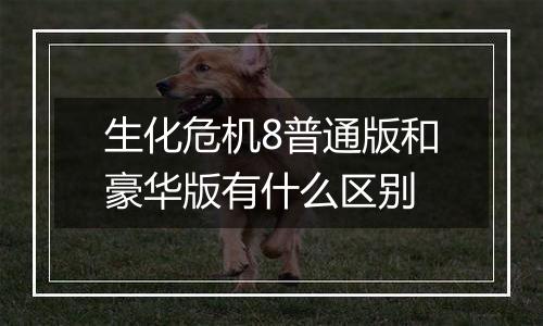 生化危机8普通版和豪华版有什么区别