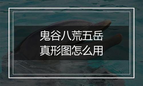 鬼谷八荒五岳真形图怎么用