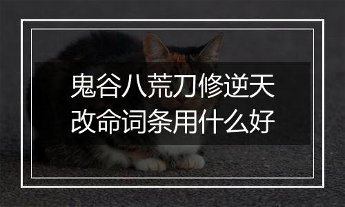鬼谷八荒刀修逆天改命词条用什么好