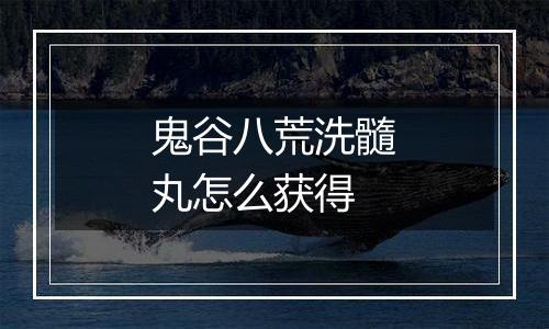 鬼谷八荒洗髓丸怎么获得