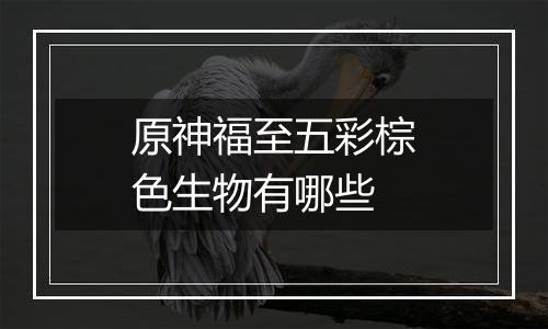 原神福至五彩棕色生物有哪些