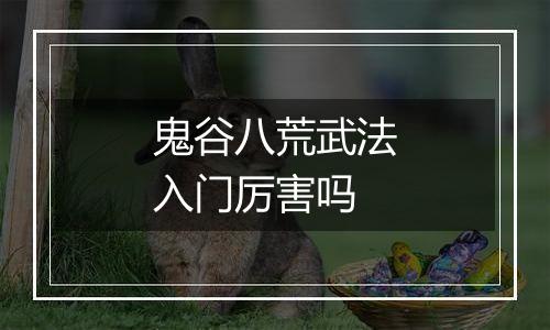 鬼谷八荒武法入门厉害吗