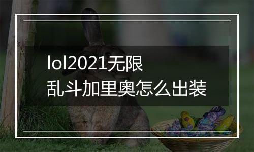 lol2021无限乱斗加里奥怎么出装