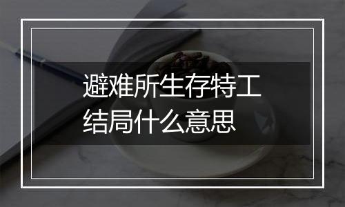避难所生存特工结局什么意思