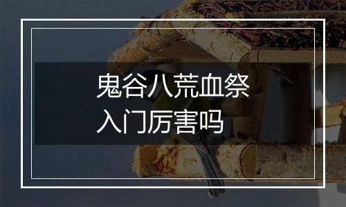 鬼谷八荒血祭入门厉害吗