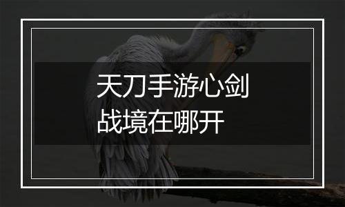 天刀手游心剑战境在哪开