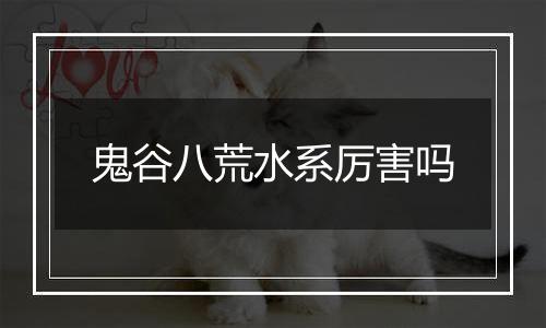 鬼谷八荒水系厉害吗