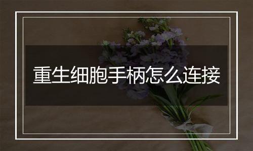 重生细胞手柄怎么连接