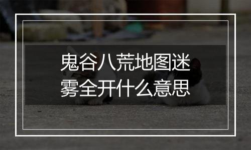 鬼谷八荒地图迷雾全开什么意思