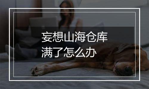 妄想山海仓库满了怎么办