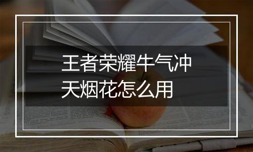 王者荣耀牛气冲天烟花怎么用