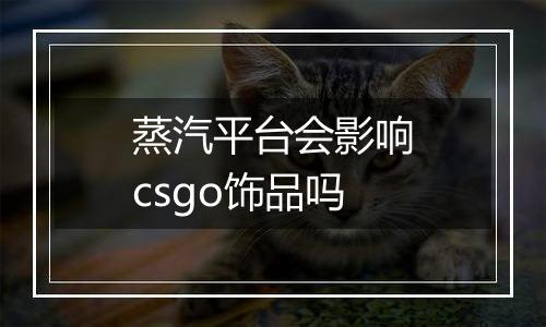 蒸汽平台会影响csgo饰品吗