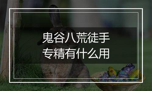 鬼谷八荒徒手专精有什么用