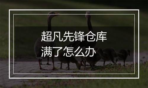 超凡先锋仓库满了怎么办