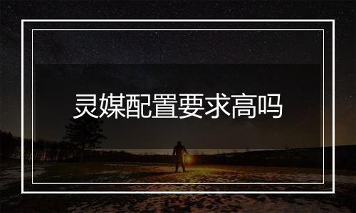 灵媒配置要求高吗