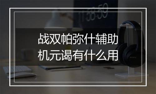 战双帕弥什辅助机元谒有什么用