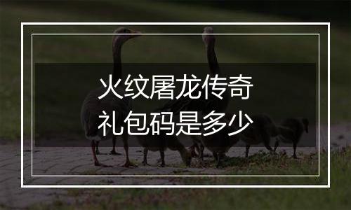 火纹屠龙传奇礼包码是多少