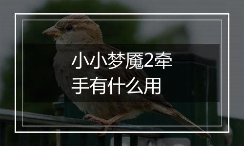小小梦魇2牵手有什么用