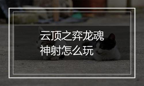 云顶之弈龙魂神射怎么玩