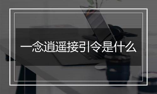 一念逍遥接引令是什么