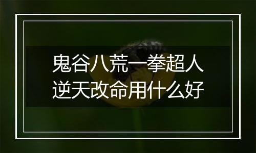 鬼谷八荒一拳超人逆天改命用什么好