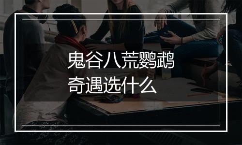 鬼谷八荒鹦鹉奇遇选什么