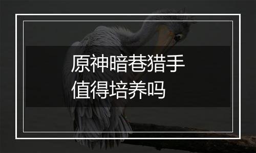 原神暗巷猎手值得培养吗