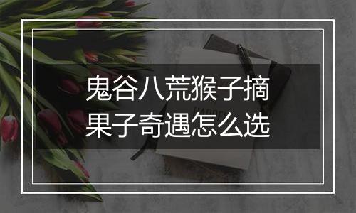 鬼谷八荒猴子摘果子奇遇怎么选