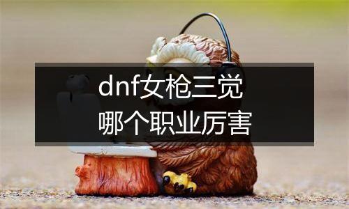 dnf女枪三觉哪个职业厉害