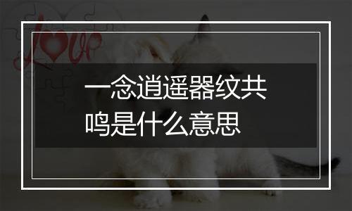 一念逍遥器纹共鸣是什么意思