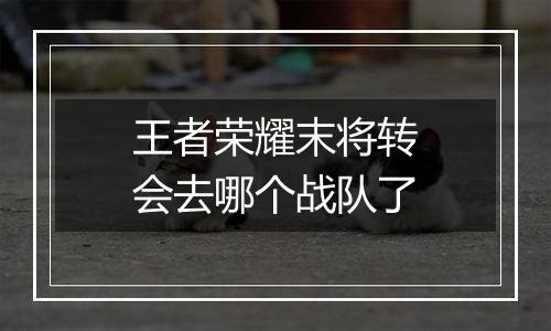 王者荣耀末将转会去哪个战队了