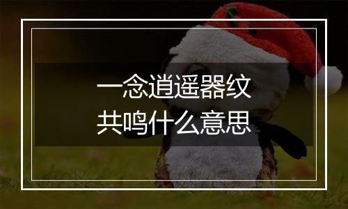 一念逍遥器纹共鸣什么意思