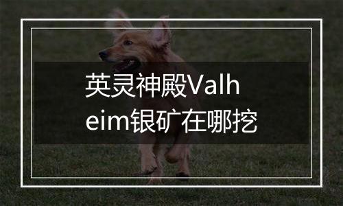 英灵神殿Valheim银矿在哪挖