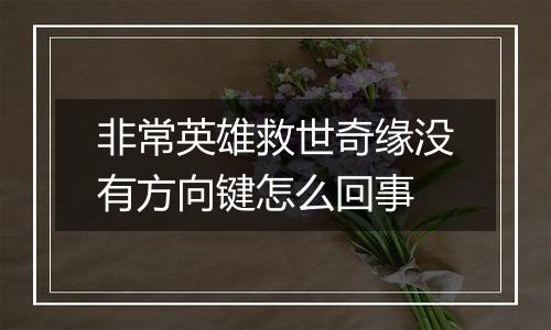 非常英雄救世奇缘没有方向键怎么回事