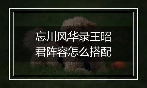 忘川风华录王昭君阵容怎么搭配