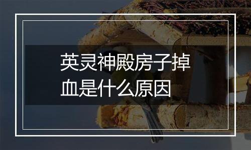 英灵神殿房子掉血是什么原因
