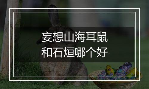 妄想山海耳鼠和石烜哪个好