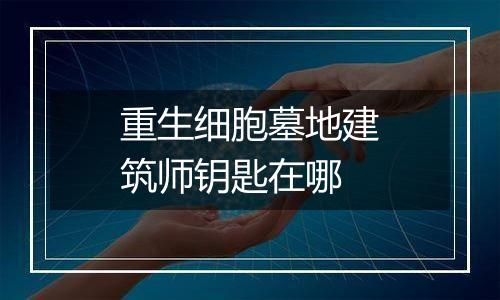 重生细胞墓地建筑师钥匙在哪