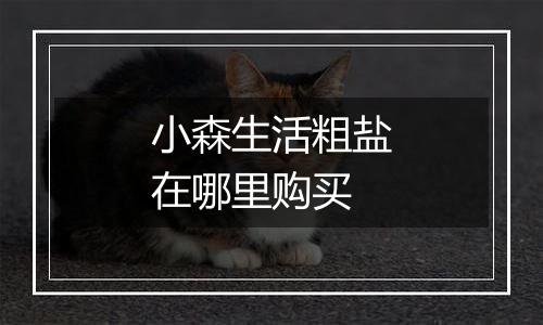 小森生活粗盐在哪里购买