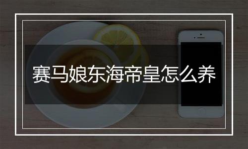 赛马娘东海帝皇怎么养