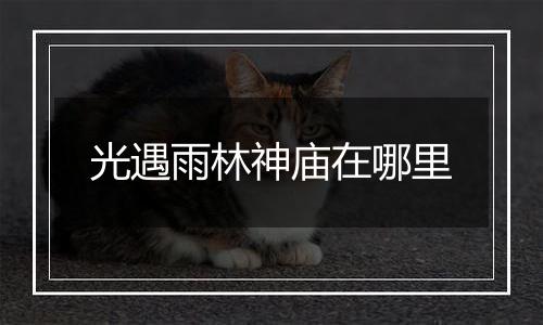 光遇雨林神庙在哪里