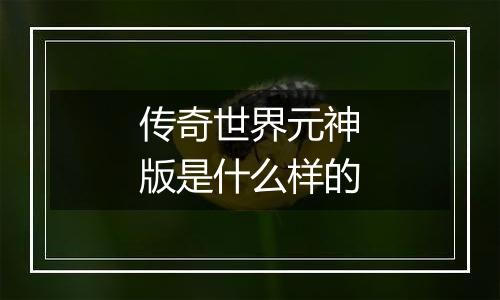 传奇世界元神版是什么样的