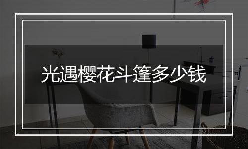 光遇樱花斗篷多少钱