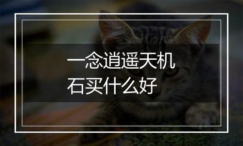 一念逍遥天机石买什么好