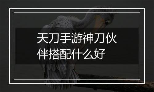 天刀手游神刀伙伴搭配什么好