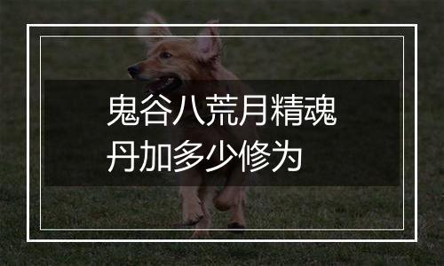 鬼谷八荒月精魂丹加多少修为