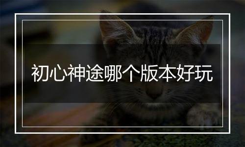 初心神途哪个版本好玩