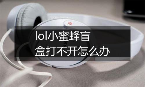 lol小蜜蜂盲盒打不开怎么办