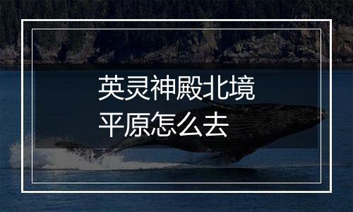 英灵神殿北境平原怎么去