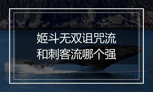 姬斗无双诅咒流和刺客流哪个强